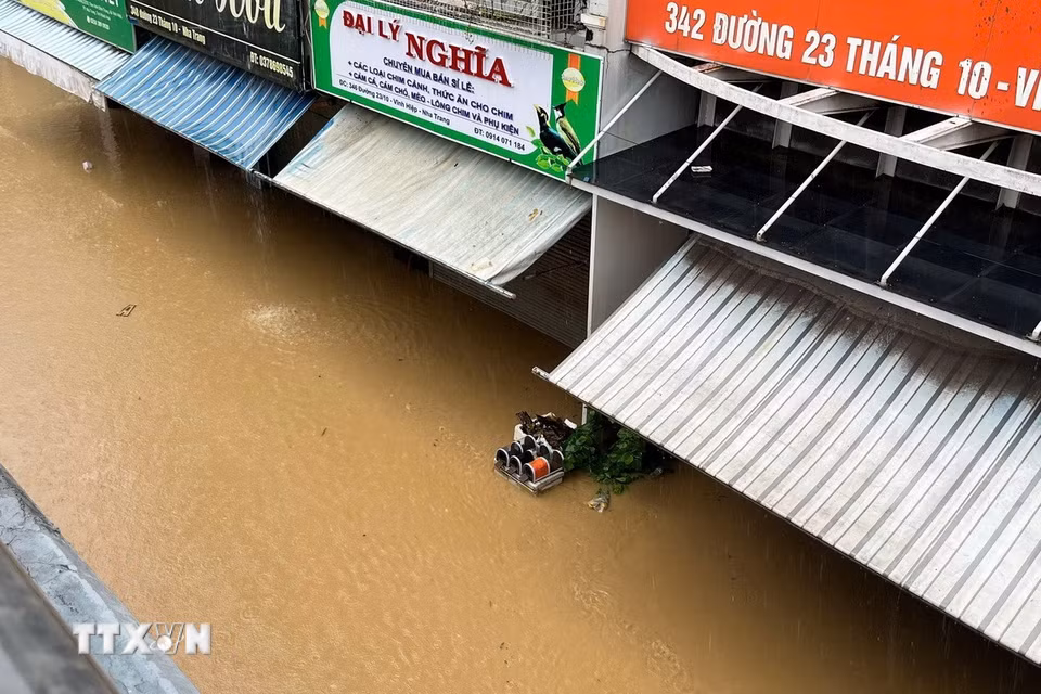Nước lũ gây ngập sâu nhà dân từ 2 đến 3 mét. (Ảnh: Phan Sáu/TTXVN)