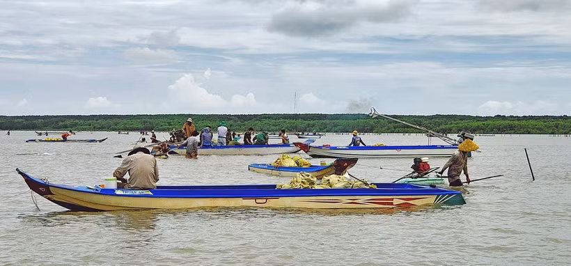 Người dân dùng máy hút cát để khai thác nghêu giống làm ảnh hưởng đến nguồn lợi thuỷ sản và có nguy cơ làm mất an ninh trật tự của địa phương. (Ảnh: TTXVN phát)