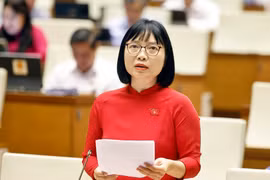Bà Nguyễn Thị Việt Nga, Phó Trưởng đoàn chuyên trách, Đoàn đại biểu Quốc hội thành phố Hải Phòng. (Ảnh: Doãn Tấn/TTXVN)