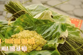 Cốm, thức quà tao nhã mà độc đáo của mùa Thu Hà Nội