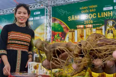 Rộn rã đêm hội Sâm Ngọc Linh: Trải nghiệm văn hóa đại ngàn giữa lòng Đà Nẵng
