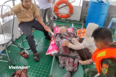 Bệnh nhân bị nghi tai biến được xuồng BP 08.1501 khẩn trương đưa về bờ. (Ảnh: Bộ đội Biên phòng Đà Nẵng)