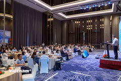 Chuỗi hội nghị về chính sách và phát triển công cụ tài chính tại Đà Nẵng. (Ảnh: Thanh Phong/Vietnam+)