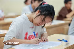 (Ảnh minh họa; Vietnam+)
