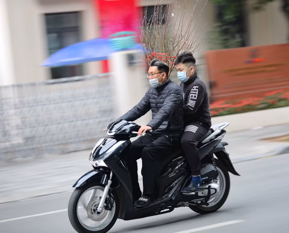 Mang cành đào Xuân về nhà thế này nếu gặp cảnh sát giao thông sẽ được mang thêm vé phạt vì không đội mũ bảo hiểm. (Ảnh: Thanh Tùng/TTXVN)