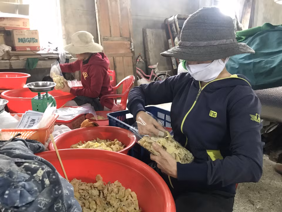 Phân loại và đóng gói mứt gừng. (Ảnh: Thanh Thủy/TTXVN)