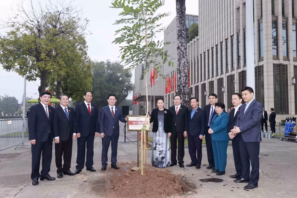 Chủ tịch Quốc hội Vương Đình Huệ, nguyên Chủ tịch Quốc hội Nguyễn Thị Kim Ngân và các vị lãnh đạo Quốc hội trồng cây xà cừ do Chủ tịch Quốc hội Thái Lan Chuan Leekpai tặng. (Ảnh: Doãn Tấn/TTXVN)