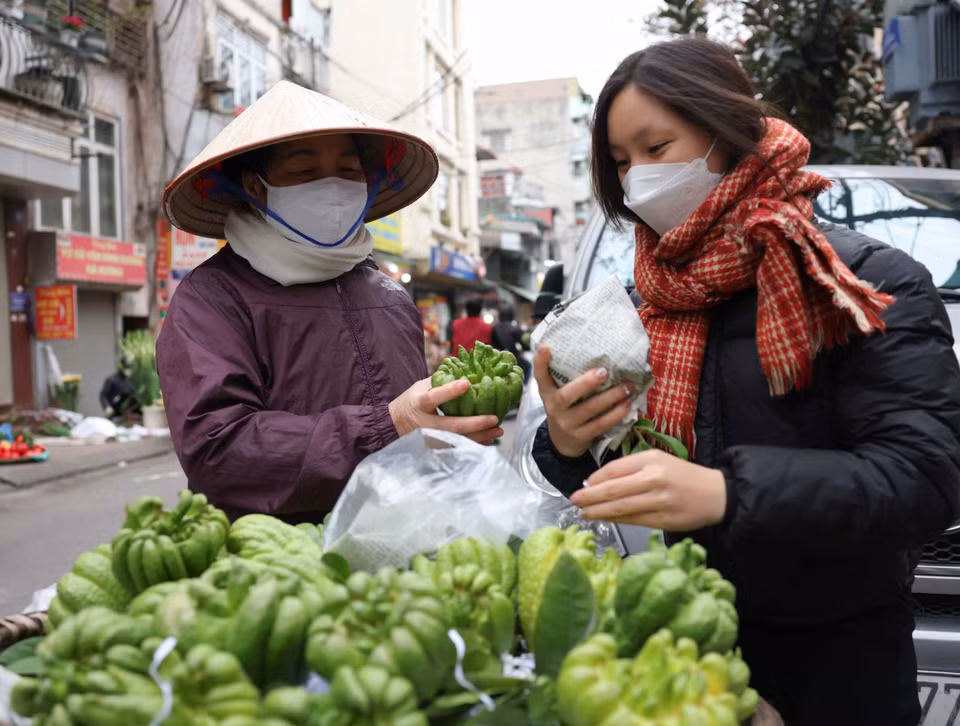 Quả phật thủ được người dân ưa chuộng, lựa chọn kỹ khi mua. (Ảnh: Thanh Tùng/TTXVN)
