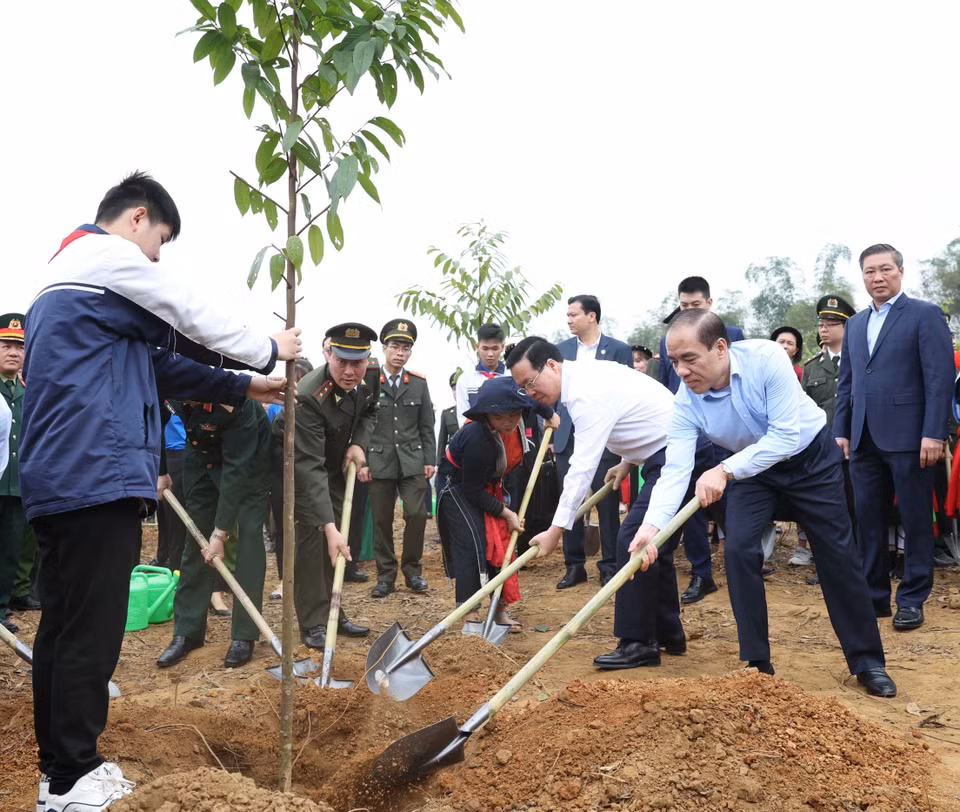Chủ tịch nước Võ Văn Thưởng và các đại biểu tham gia trồng cây tại Lễ phát động Tết trồng cây “Đời đời nhớ ơn Bác Hồ” Xuân Giáp Thìn 2024. (Ảnh: Thống Nhất/TTXVN)