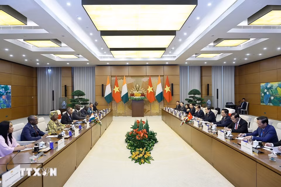 Chủ tịch Quốc hội Trần Thanh Mẫn hội đàm với Chủ tịch Quốc hội Côte d’Ivoire Patrick Achi. (Ảnh: Doãn Tấn/TTXVN)