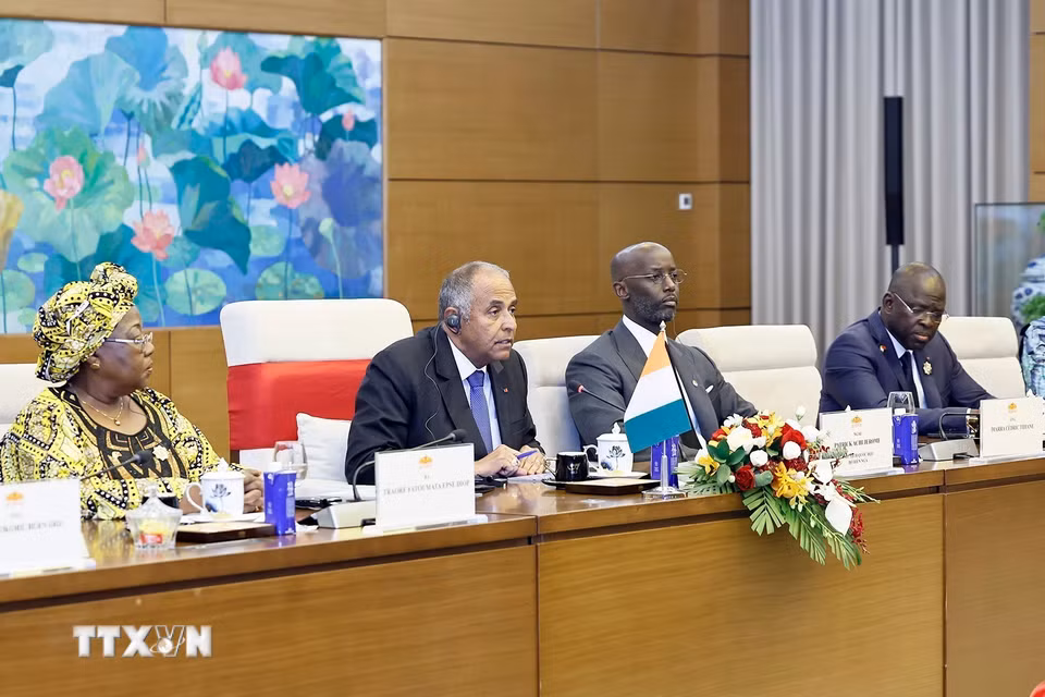 Chủ tịch Quốc hội Côte d’Ivoire Patrick Achi phát biểu tại hội đàm. (Ảnh: Doãn Tấn/TTXVN)