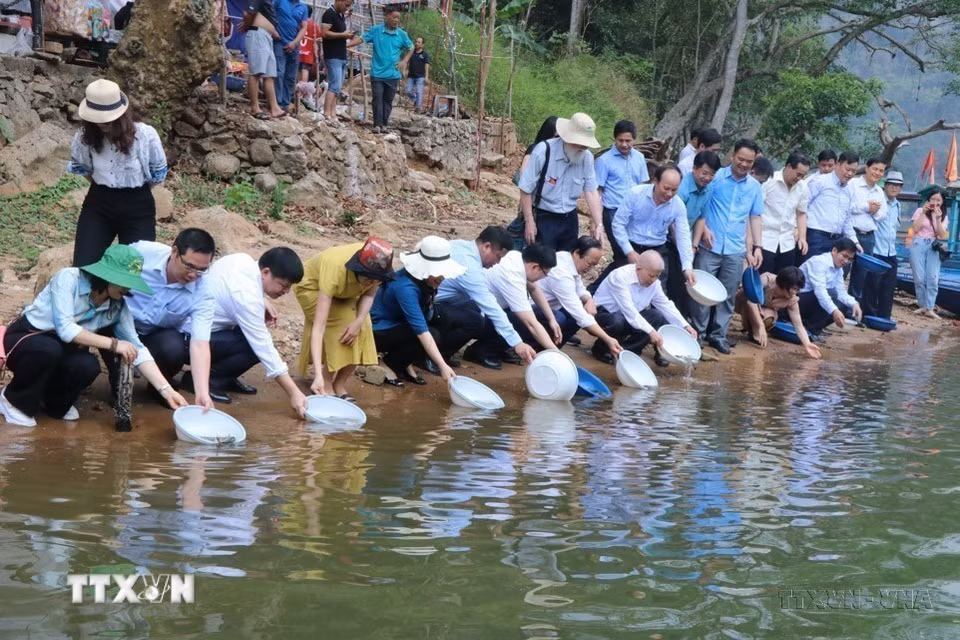 Bảo tồn đa dạng sinh học là một nội dung Việt Nam tích cực hưởng ứng trong các chương trình nghị sự toàn cầu. Trong ảnh: Thả 1.500 con cá giống tại đền An Mã (thuộc hồ Ba Bể) tại lễ kỷ niệm Ngày Quốc tế Đa dạng sinh học năm 2023. (Ảnh: Vũ Hoàng Giang/TTXVN)