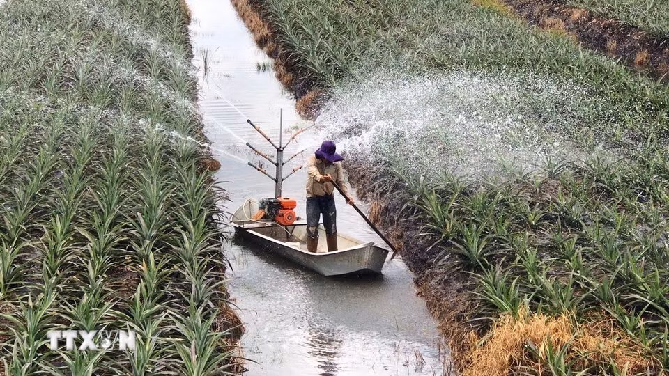 Các vấn đề về nước và an ninh nguồn nước nằm trong chương trình nghị sự phát triển bền vững của Liên hợp quốc. Việt Nam hưởng ứng bằng các hoạt động nâng cao nhận thức và sử dụng bền vững tài nguyên nước. (Ảnh: TTXVN)
