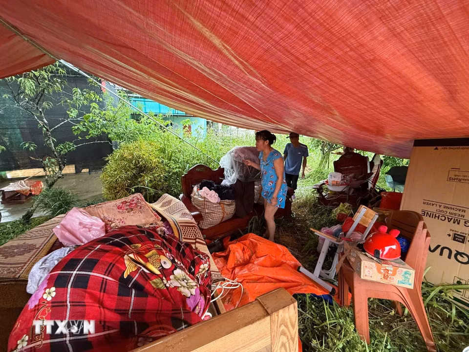 Nhiều gia đình phải sơ tán cả người và tài sản lên đê để tránh lụt. (Ảnh: Hoa Mai/TTXVN)