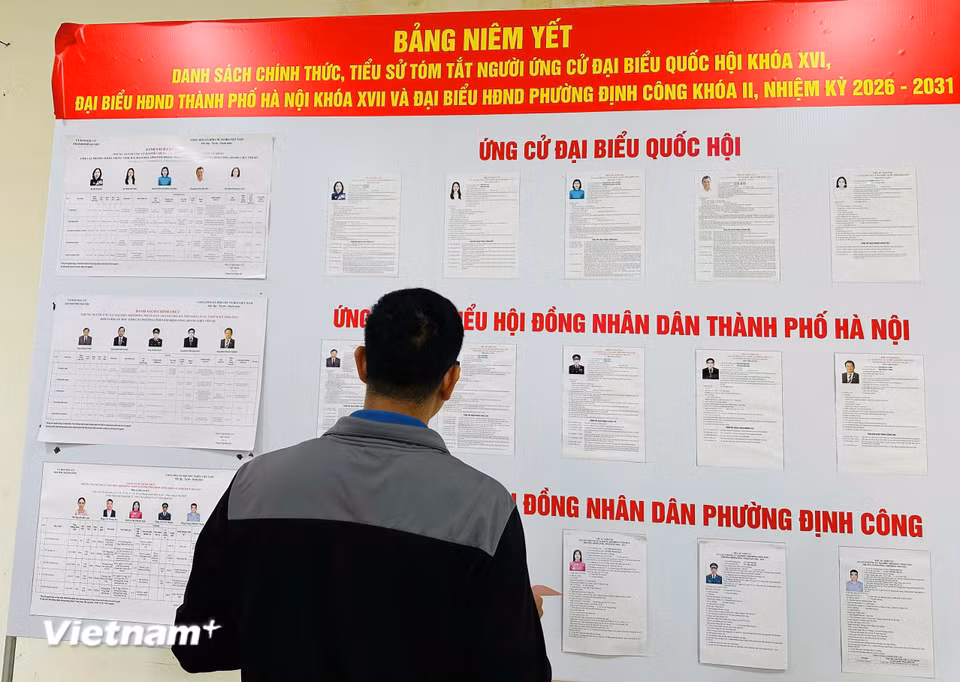 Cử tri khu vực bỏ phiếu số 4, phường Định Công, Hà Nội nghiên cứu tiểu sử người ứng cử trước khi bỏ phiếu. (Ảnh: Trí Đức/Vietnam+)