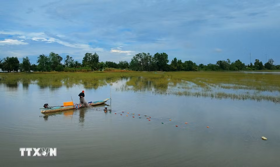 Mùa nước nổi không nhất thiết phải là khoảng thời gian chờ nước rút, nếu được tổ chức phù hợp, đó có thể là một mùa sản xuất, một mùa du lịch và một mùa tạo sinh kế. (Ảnh: Duy Khương/TTXVN)