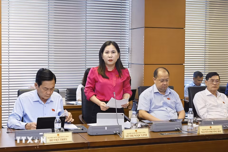 Đại biểu Quốc hội tỉnh Cà Mau Lê Thị Ngọc Linh phát biểu. (Ảnh: Doãn Tấn/TTXVN)