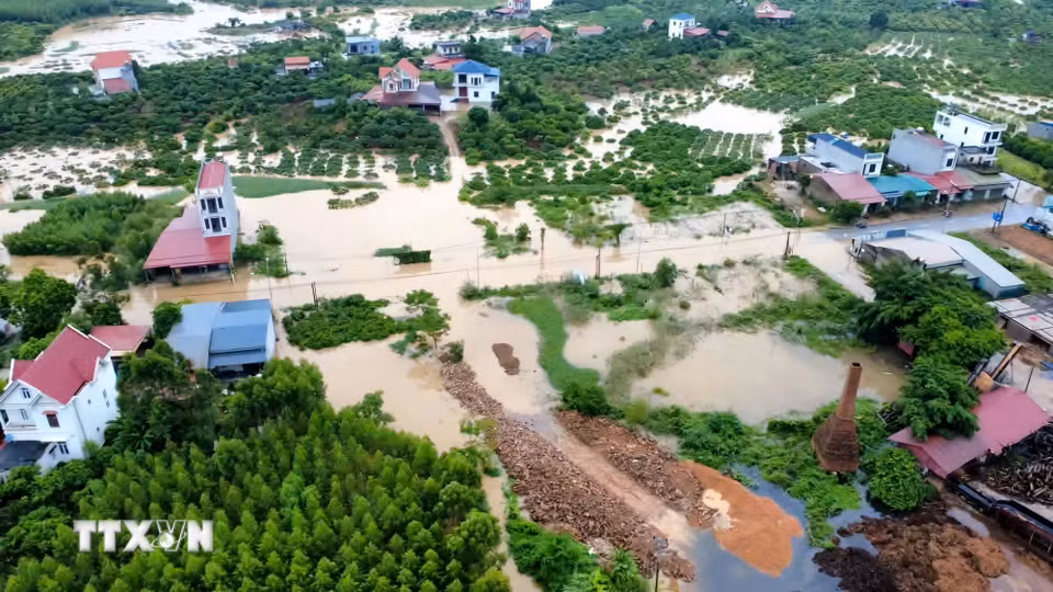 Nước lũ dâng cao, bao phủ nhiều diện tích cây trồng. (Ảnh: TTXVN phát)