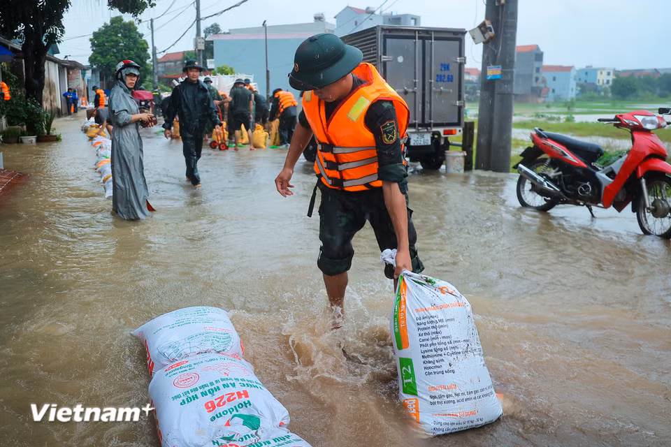 (Ảnh: Hoài Nam/Vietnam+)