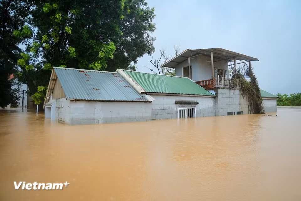(Ảnh: Hoài Nam/Vietnam+)