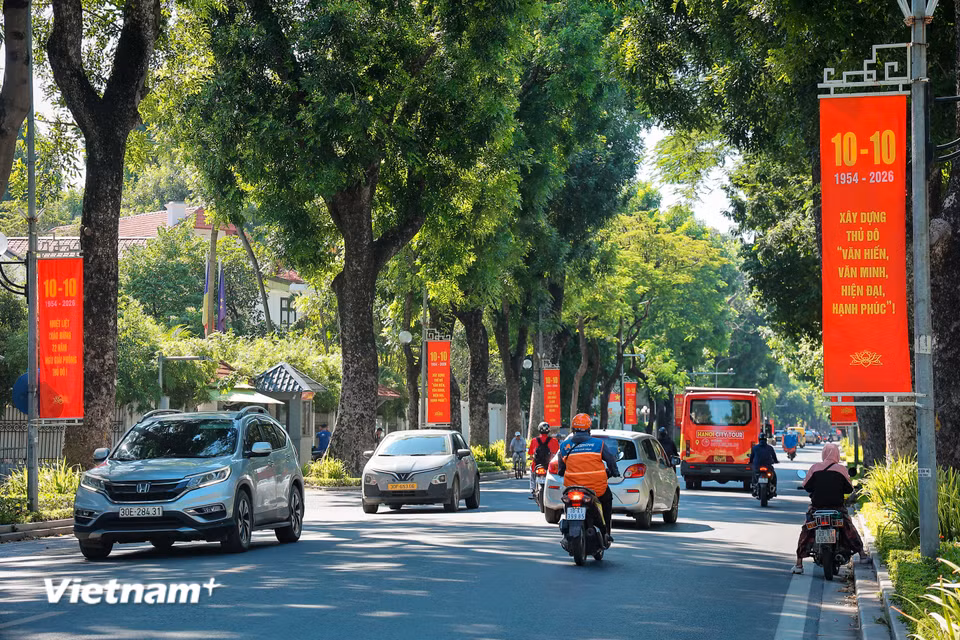 Cờ đỏ sao vàng cùng cờ Đảng tung bay phấp phới dọc các tuyến đường Điện Biên Phủ, Hoàng Diệu, Hùng Vương, Phan Đình Phùng, tạo nên những dải dải màu rực rỡ dưới hàng cây cổ thụ. (Ảnh: Hoài Nam/Vietnam+)