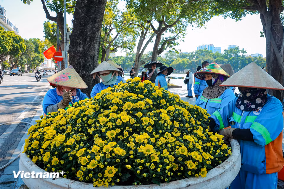 Từ nhiều ngày nay, công tác trang hoàng đô thị đã được triển khai đồng bộ và ấn tượng tại tất cả các khu vực trung tâm. (Ảnh: Hoài Nam/Vietnam+)