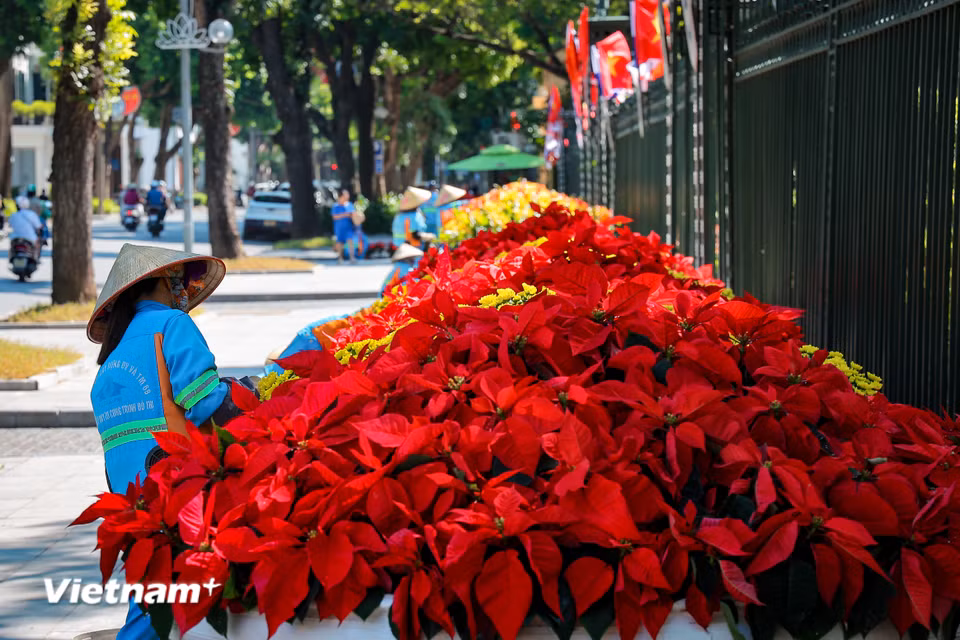 Dưới tiết trời thu dịu mát, không khí hoan hỷ, tự hào lan tỏa khắp từng con phố, ngõ ngách, gợi nhắc về thời khắc lịch sử thiêng liêng khi đoàn quân chiến thắng trở về tiếp quản Thủ đô tròn 72 năm về trước. (Ảnh: Hoài Nam/Vietnam+)
