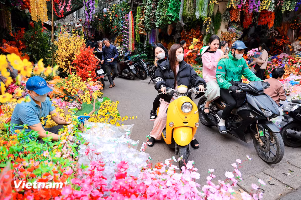 Các khu vực bán hoa trang trí rực rỡ sắc màu, mang không khí phấn khởi mùa Xuân. (Ảnh: Hoài Nam/Vietnam+)