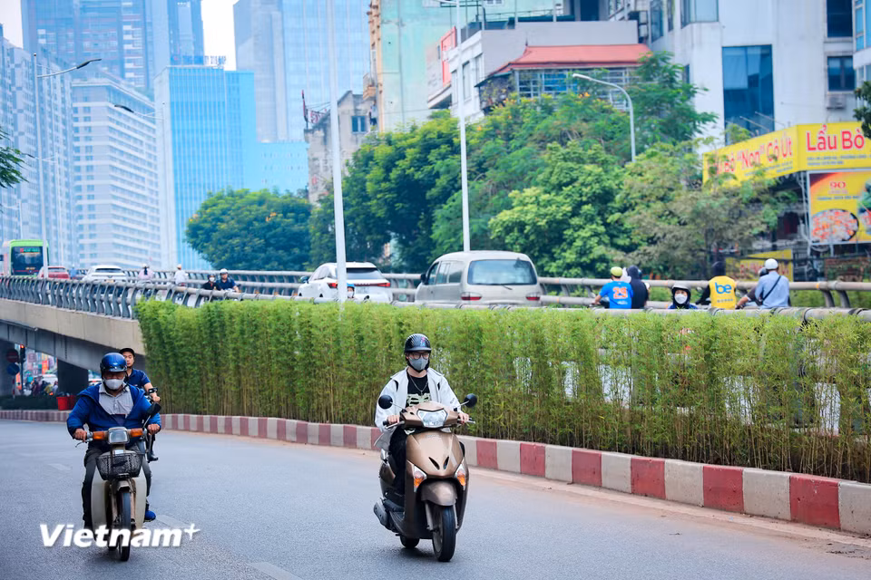 Việc thí điểm phủ xanh các công trình giao thông được triển khai trong bối cảnh Hà Nội mới ban hành Đề án quản lý, phát triển hệ thống cây xanh, công viên, vườn hoa, mặt nước. (Ảnh: Như Lan/Vietnam+)