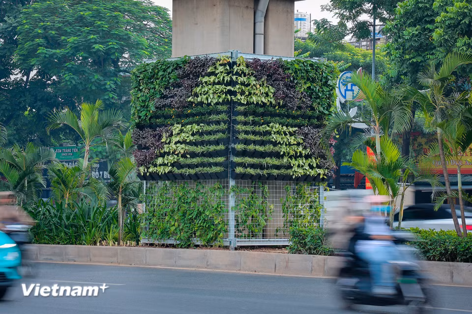 Thành phố hiện có hàng trăm trụ đường sắt đô thị trên hai tuyến Cát Linh-Hà Đông và Nhổn-ga Hà Nội, cùng hệ thống trụ đường Vành đai 2, Vành đai 3 trên cao, nhiều cầu vượt và hàng trăm nhà chờ xe buýt. Tuy nhiên, phần lớn các công trình này chưa được trồng hoặc đặt cây, hoa tạo cảnh quan. (Ảnh: Như Lan/Vietnam+)