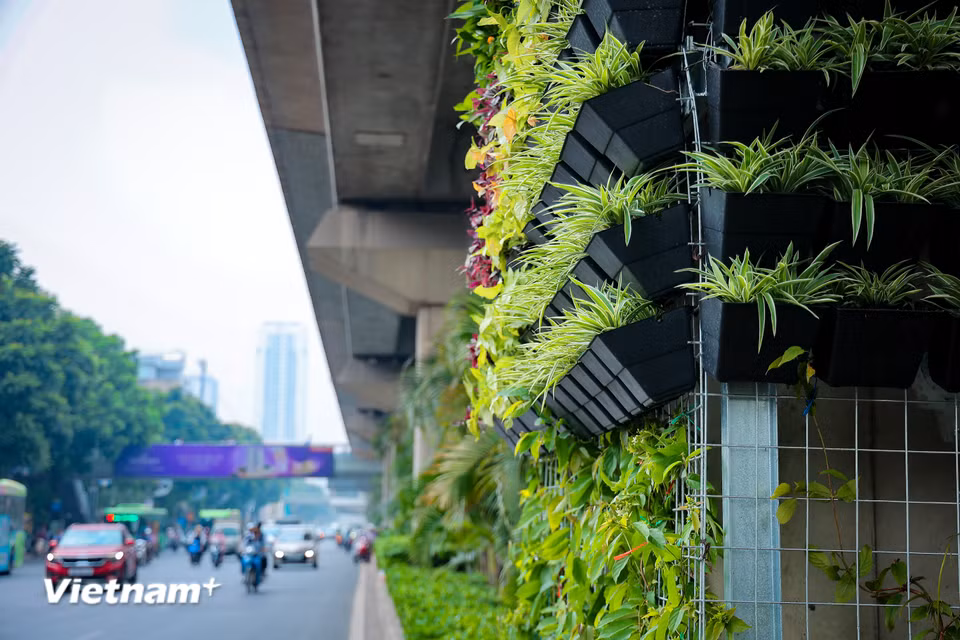 Hiện tại trụ đường sắt tuyến Cát Linh-Hà Đông đoạn qua Royal city đã được trồng cây, tạo cảnh quan xanh mát tại khu vực này. (Ảnh: Như Lan/Vietnam+)