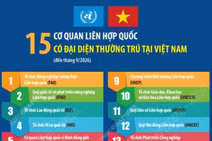15 cơ quan Liên hợp quốc có đại diện thường trú tại Việt Nam