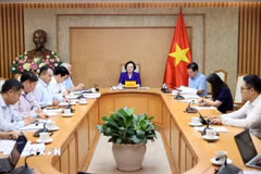 Phó Thủ tướng Phạm Thị Thanh Trà chủ trì buổi làm việc. (Ảnh: An Đăng/TTXVN)