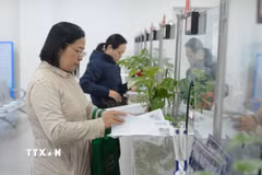 Khách hàng làm thủ tục tại Bảo hiểm xã hội thành phố Đà Nẵng. (Ảnh: Văn Dũng/TTXVN)