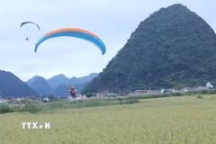 Trải nghiệm bay dù lượn trên cánh đồng lúa Bắc Sơn. (Ảnh: Anh Tuấn/TTXVN)