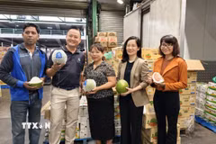 Đại diện Thương vụ Việt Nam tại Australia, Tập đoàn 4 Ways Fresh, tiểu thương Việt Nam và nhân viên chợ đầu mối Sydney Market tại sự kiện ra mắt trái bưởi Việt Nam tại thị trường Australia. (Ảnh: Trung Trang/TTXVN)