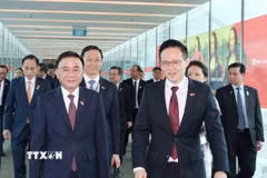 Quốc Vụ khanh Bộ Quốc phòng Singapore Desmond Choo đón Thường trực Ban Bí thư Trần Cẩm Tú tại sân bay Changi. (Ảnh: Phương Hoa/TTXVN)