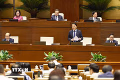 Bộ trưởng Bộ Công an Lương Tam Quang phát biểu giải trình, làm rõ một số vấn đề đại biểu Quốc hội nêu. (Ảnh: Doãn Tấn/TTXVN)