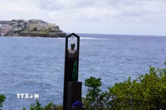 Một tác phẩm điêu khắc sắp đặt đương đại trên con đường đi bộ ven biển từ Bondi đến Tamarama. (Ảnh: Lê Đạt/TTXVN)