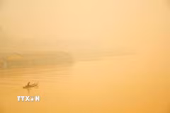 Khói mù do cháy rừng và cháy đất bao trùm thành phố Palangka Raya, bang Trung Kalimantan, Indonesia, ngày 12/10. (Ảnh: THX/TTXVN phát)
