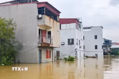 Nước sông Cầu dâng cao gây ngập nhà dân tại phường Kinh Bắc, tỉnh Bắc Ninh. (Ảnh: Thanh Thương/TTXVN)