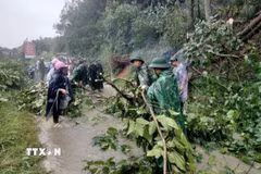 Bộ đội Biên phòng tỉnh Lạng Sơn phát dọn điểm sạt lở đất taluy dương trên tuyến đường giao thông biên giới. (Ảnh: TTXVN phát)