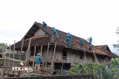 Thống kê toàn tỉnh Nghệ An có 750 nhà dân bị hư hỏng. (Ảnh: Văn Tý/TTXVN)