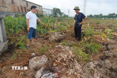 Mộ, mả bị hư hại trong quá trình cưỡng chế giải phóng mặt bằng Cụm công nghiệp Minh Hải 1. (Ảnh: Mạnh Khánh/TTXVN)