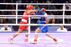 Ảnh minh họa. (Ảnh: Hoàng Linh/TTXVN)