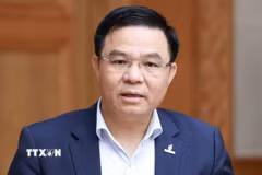 Ông Lê Mạnh Hùng, Quyền Bộ trưởng Bộ Công Thương làm Phó Trưởng ban thường trực thay thế ông Nguyễn Hồng Diên. (Ảnh: Dương Giang/TTXVN)