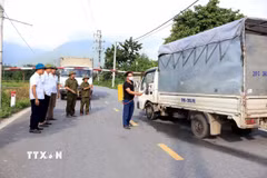 Đoàn kiểm tra của xã Đạo Trù kiểm tra công tác phòng dịch tả lợn châu Phi trên địa bàn xã. (Ảnh: Nguyễn Văn Cảnh/TTXVN)