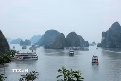 Phong cảnh tuyệt đẹp của Vịnh Hạ Long thu hút nhiều du khách đến tham quan, khám phá. (Ảnh: Hoàng Hiếu/TTXVN)