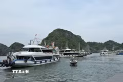 Tàu chờ đón khách tham quan Vịnh Lan Hạ tại Bến tàu khách du lịch Cái Bèo. (Ảnh: Minh Thu/TTXVN)