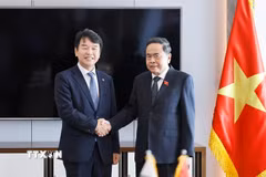 Chủ tịch Quốc hội Trần Thanh Mẫn tiếp Chủ tịch Nhóm Nghị sỹ Hữu nghị Hàn Quốc-Việt Nam Moon Jin-seok. (Ảnh: Doãn Tấn/TTXVN)